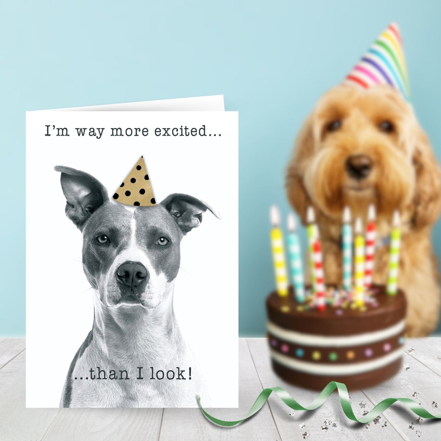 Hand-Finished Funny Birthday Greeting Card Embellished Dog In A Party Hat