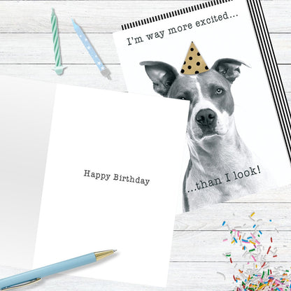 Hand-Finished Funny Birthday Greeting Card Embellished Dog In A Party Hat