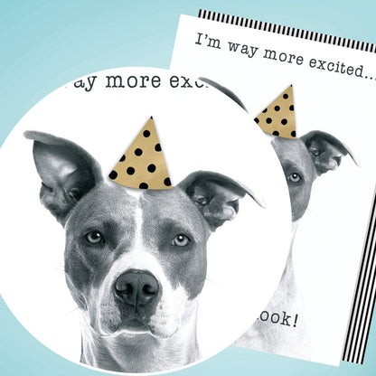 Hand-Finished Funny Birthday Greeting Card Embellished Dog In A Party Hat