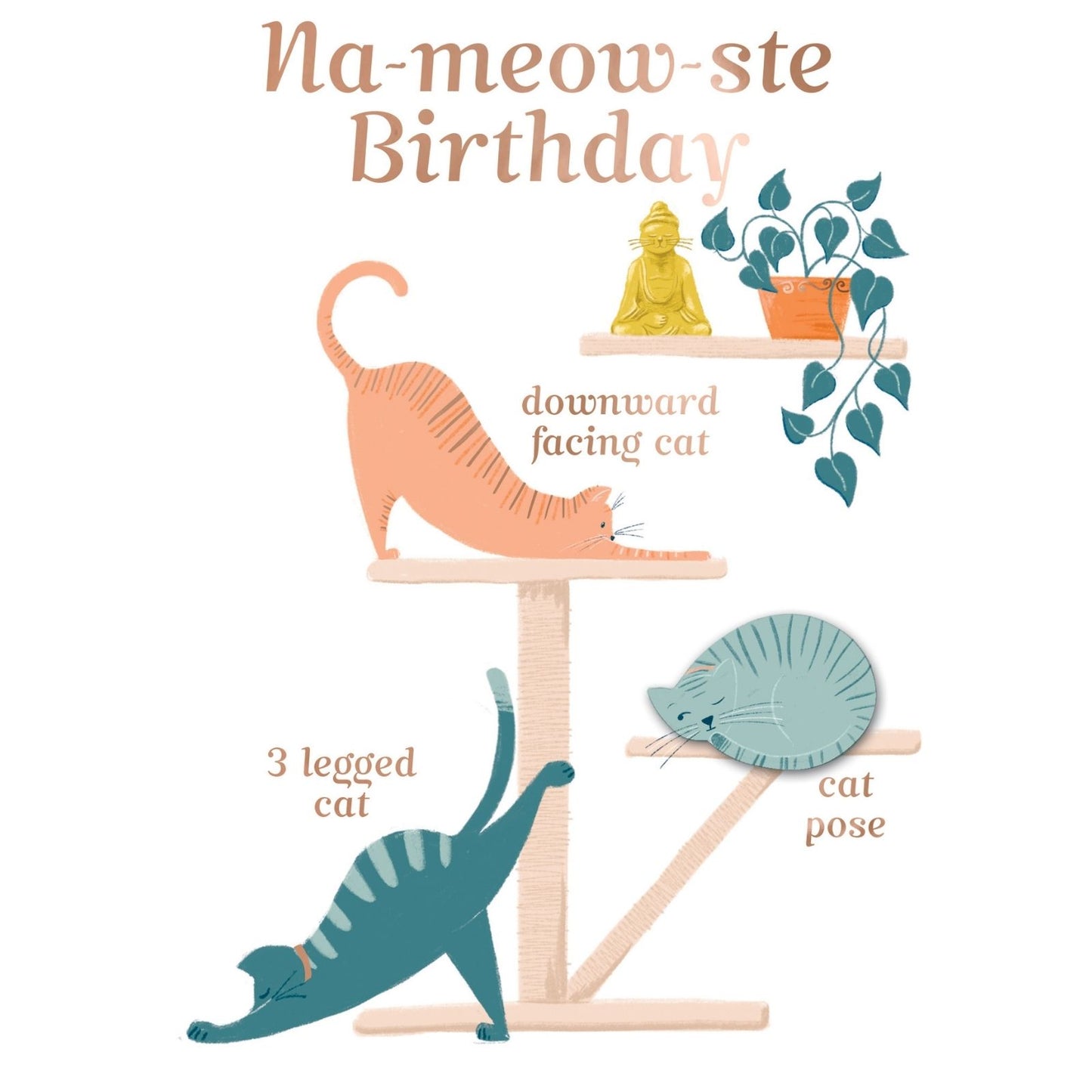 Na-Meow-Ste Hand-Finished Birthday Card Birthday Yoga Cats Embellished Card