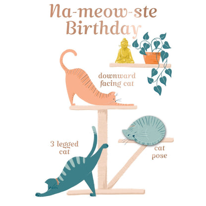Na-Meow-Ste Hand-Finished Birthday Card Birthday Yoga Cats Embellished Card