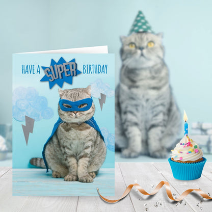 Hand-Finished Funny Birthday Greeting Card Embellished Super Hero Cat Birthday
