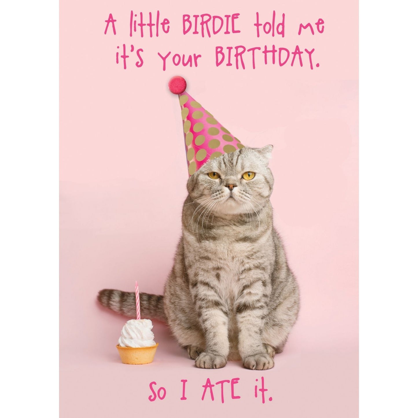 Hand-Finished Funny Birthday Greeting Card Cat Ate Your Cake Embellished For Her
