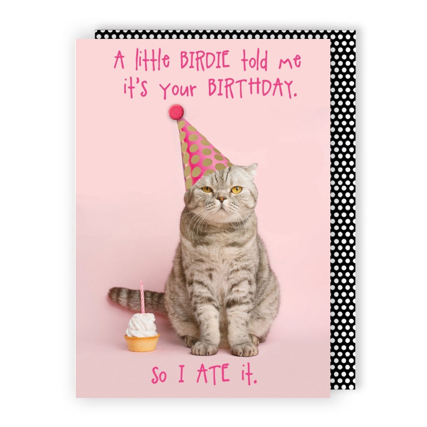 Hand-Finished Funny Birthday Greeting Card Cat Ate Your Cake Embellished For Her