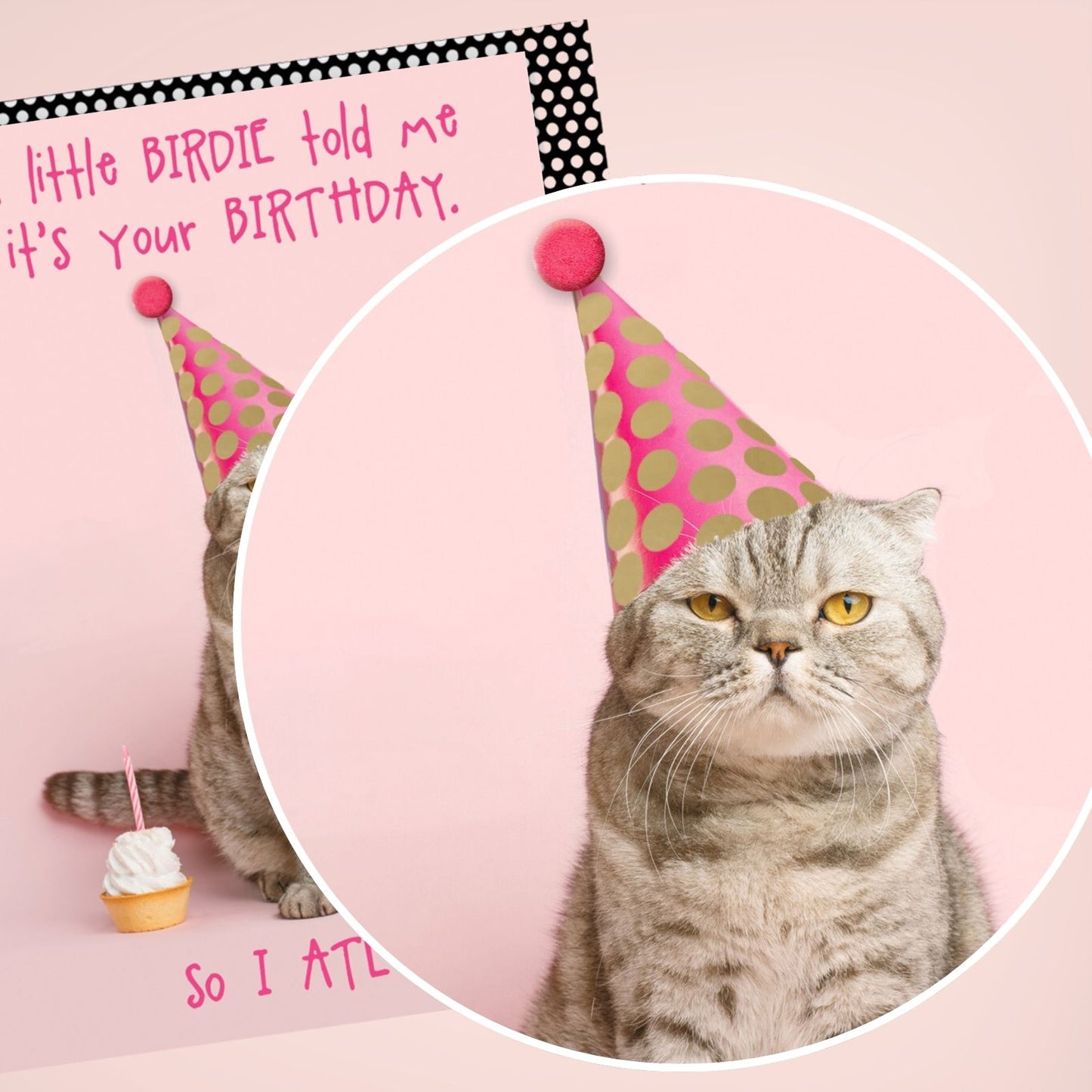 Hand-Finished Funny Birthday Greeting Card Cat Ate Your Cake Embellished For Her