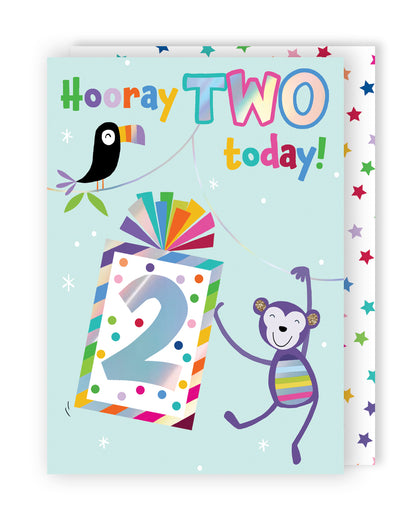 Boys 2nd Birthday Two Today! 2 Monkey Mail! Birthday Contemporary Greeting Card