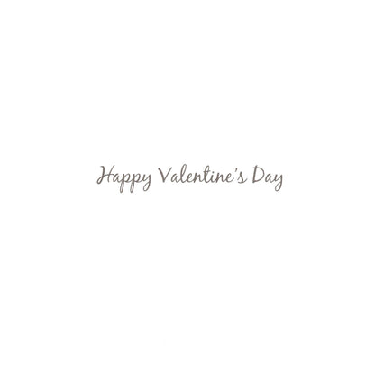 Love You Millions Valentine's Day Greeting Card
