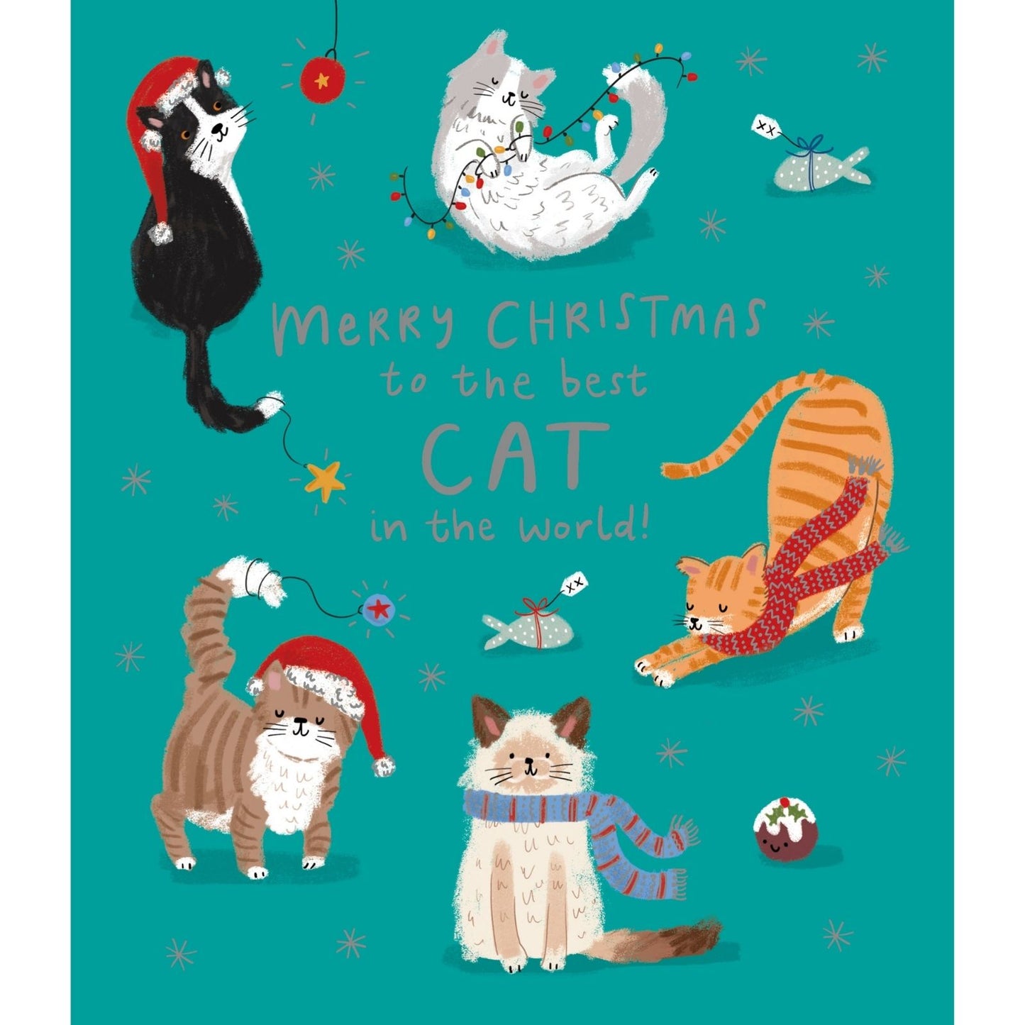 Cat Christmas Card Merry Christmas To The Best Cat Festive Cats Xmas Greetings
