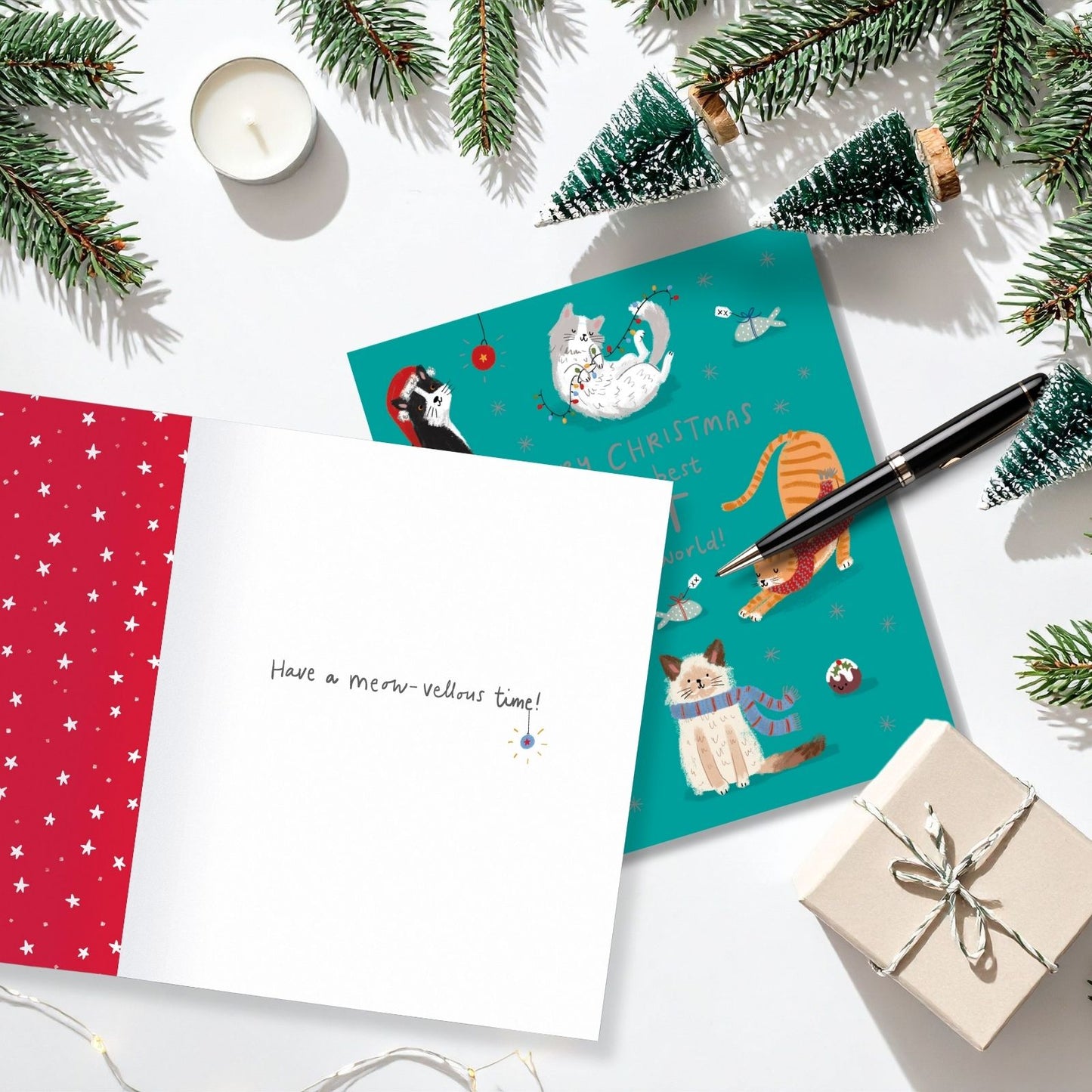 Cat Christmas Card Merry Christmas To The Best Cat Festive Cats Xmas Greetings