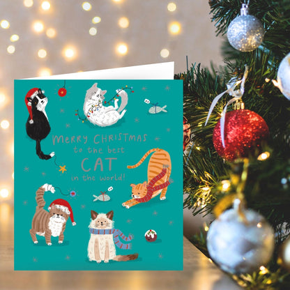 Cat Christmas Card Merry Christmas To The Best Cat Festive Cats Xmas Greetings