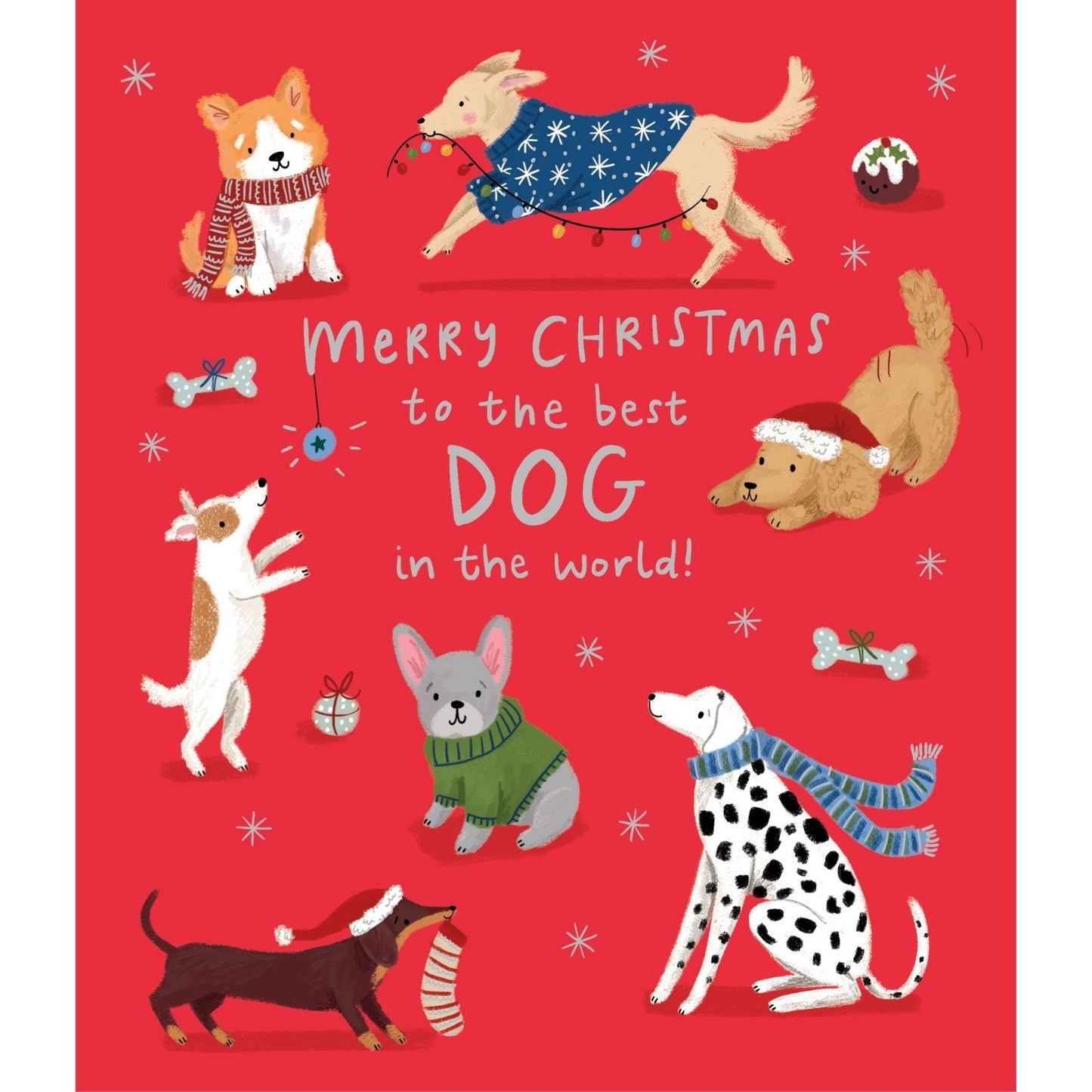 Dog Christmas Card Merry Christmas To The Best Dog Festive Dogs Xmas Greetings