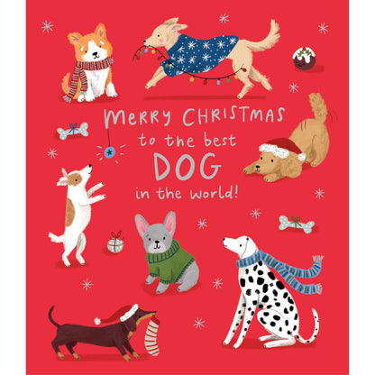 Dog Christmas Card Merry Christmas To The Best Dog Festive Dogs Xmas Greetings