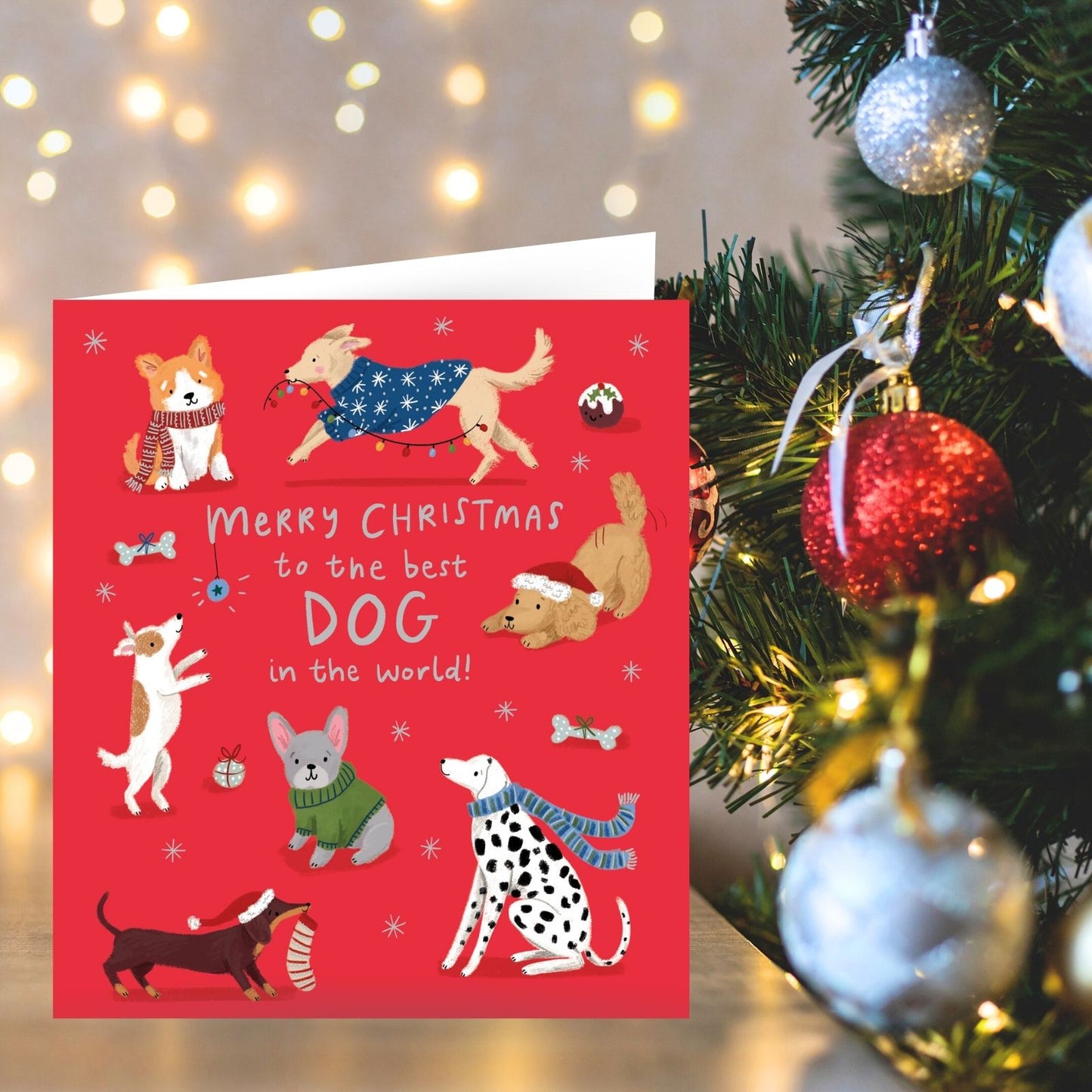 Dog Christmas Card Merry Christmas To The Best Dog Festive Dogs Xmas Greetings
