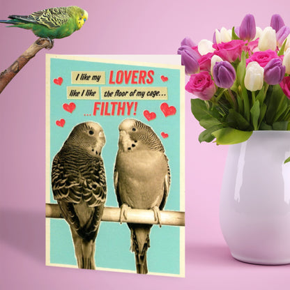 Funny Filthy Lovers Valentine's Day Greeting Card