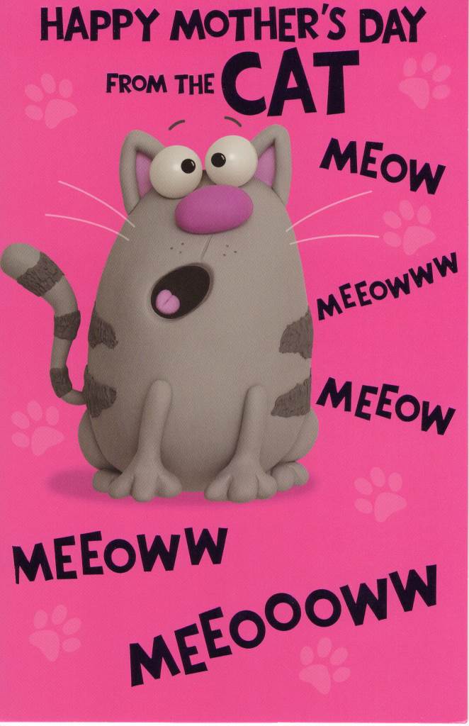 Happy Mother's Day From The Cat Card
