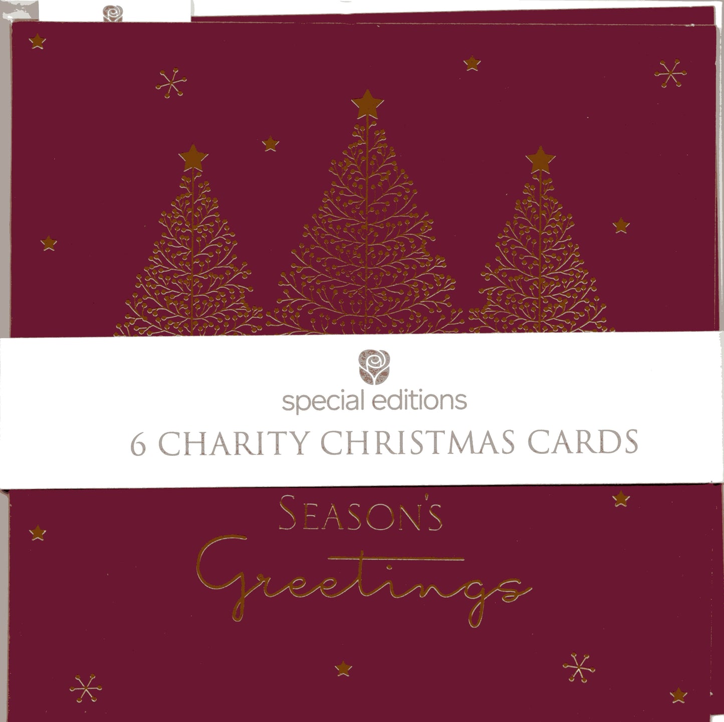 Pack Of 6 Season's Greetings Trees Charity Christmas Cards Multiple Charities