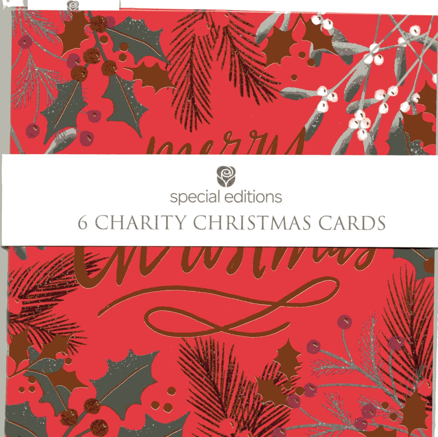 Pack Of 6 Holly Berries Charity Christmas Cards Multiple Charities