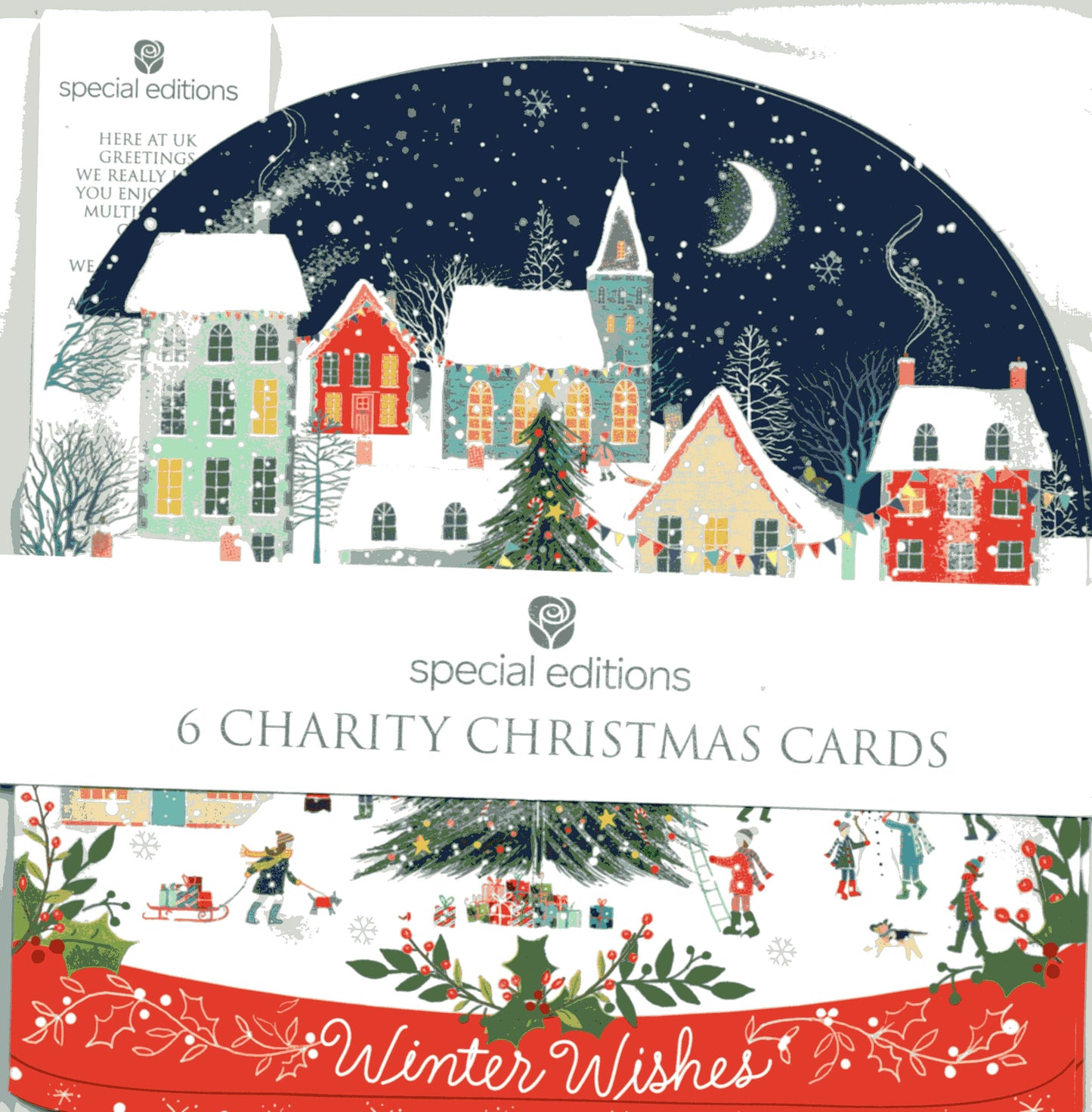 Pack Of 6 Snow Globe Winter Wishes Charity Christmas Cards Multiple Charities