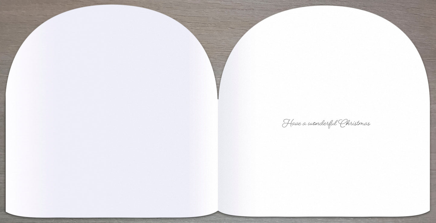 Pack Of 6 Snow Globe Winter Wishes Charity Christmas Cards Multiple Charities