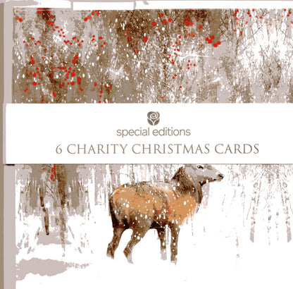 Pack Of 6 Winter Woodland Stag Charity Christmas Cards Multiple Charities