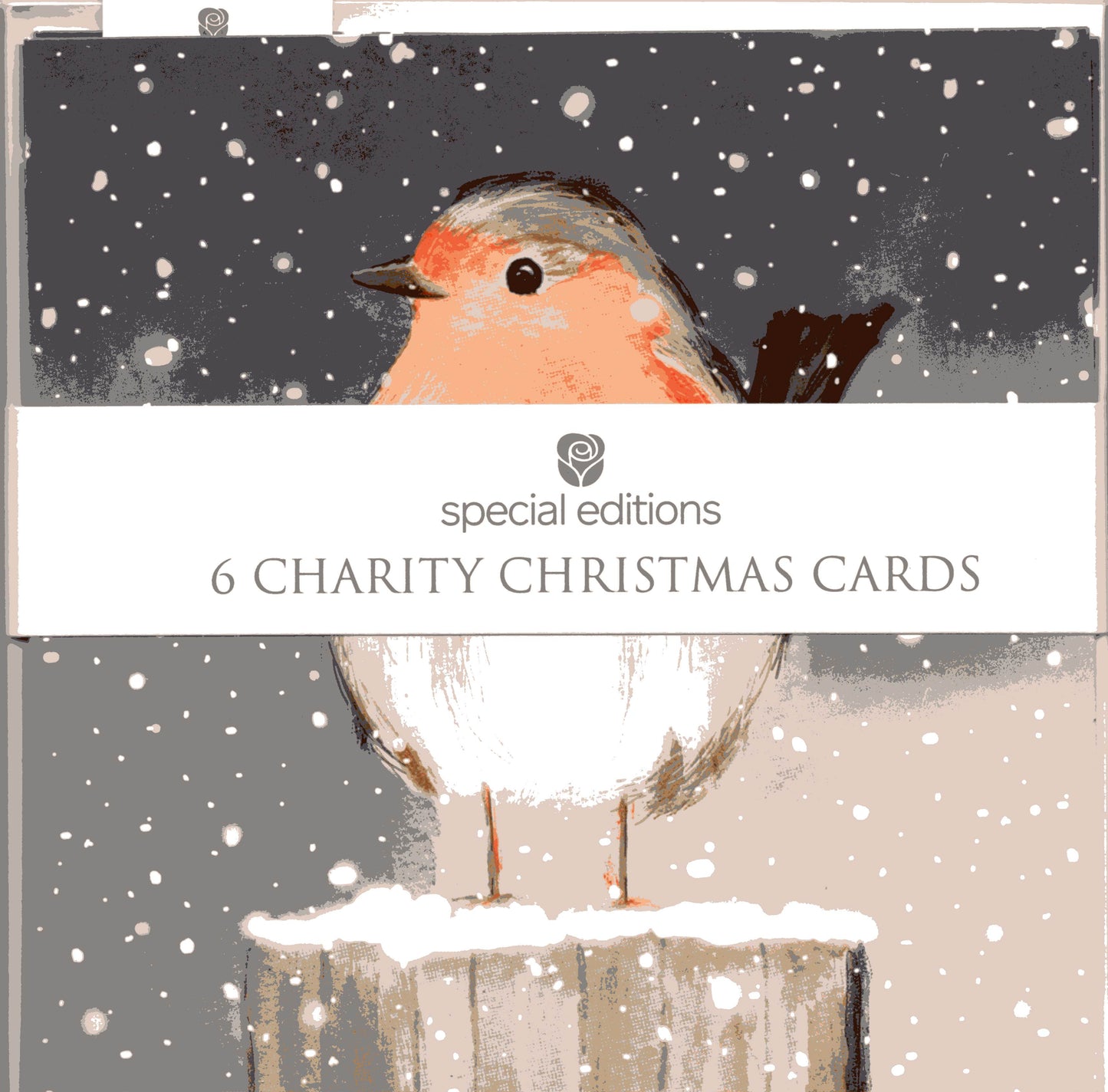 Pack Of 6 Festive Robin Charity Christmas Cards Multiple Charities