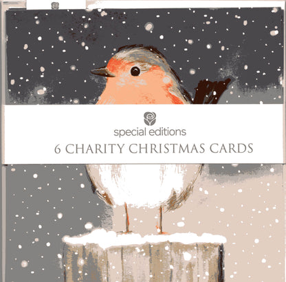 Pack Of 6 Festive Robin Charity Christmas Cards Multiple Charities