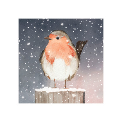 Pack Of 6 Festive Robin Charity Christmas Cards Multiple Charities