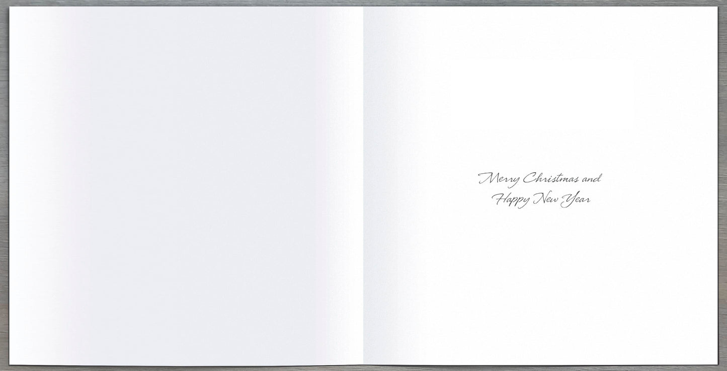 Pack Of 6 Festive Robin Charity Christmas Cards Multiple Charities