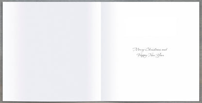 Pack Of 6 Festive Robin Charity Christmas Cards Multiple Charities