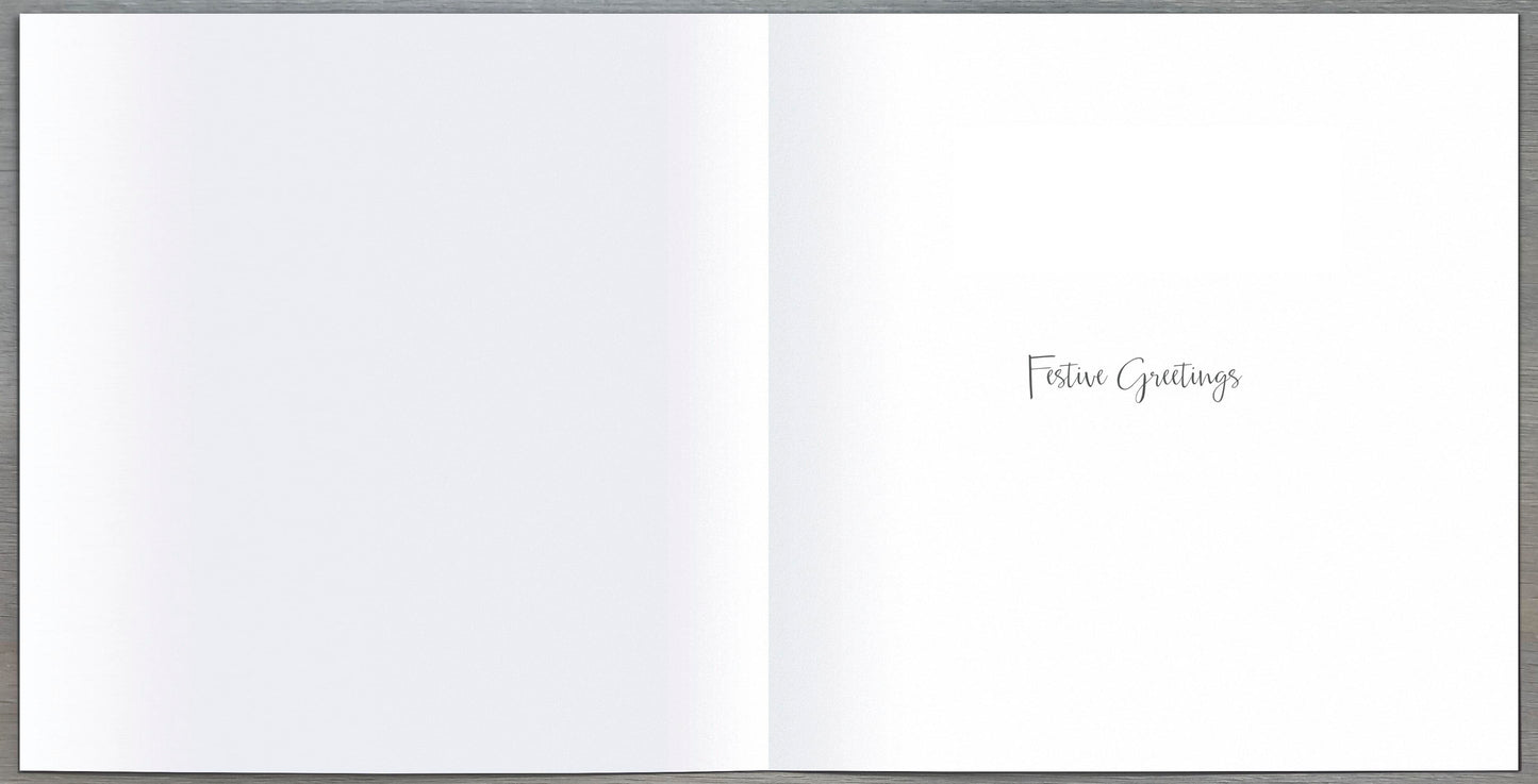 Pack Of 6 Father Christmas Charity Christmas Cards Multiple Charities