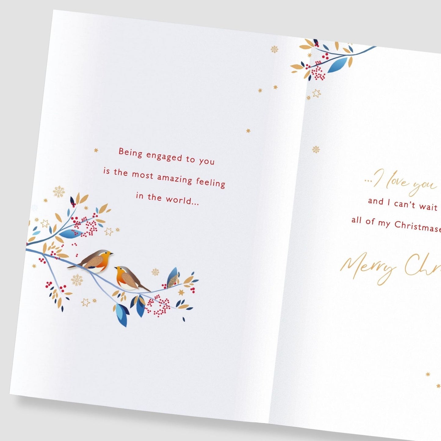 Fiancé Christmas Card With Love Foiled Robins With Love Hearts Xmas Greetings