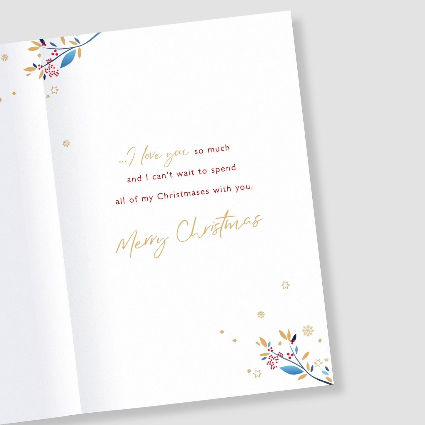 Fiancé Christmas Card With Love Foiled Robins With Love Hearts Xmas Greetings