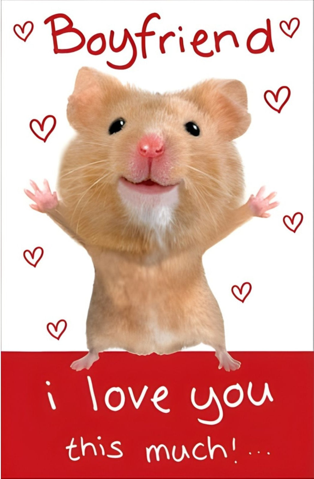 Boyfriend Hamster Wobbly Eyes Valentine's Day Card