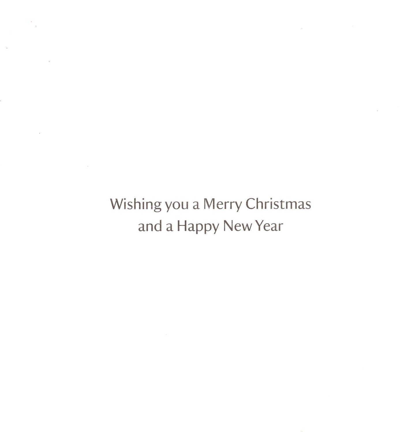 Box of 6 Family At Christmas Luxury Foiled Christmas Cards
