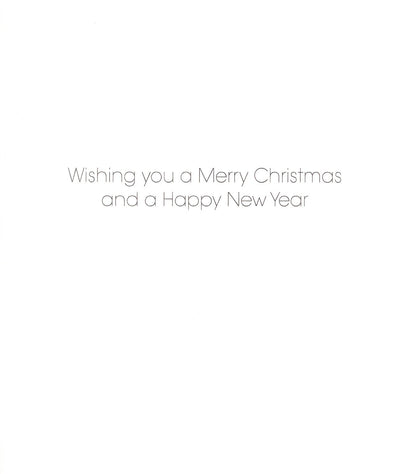 Pack Of 5 National Trust Festive Greetings Mistletoe Charity Christmas Cards