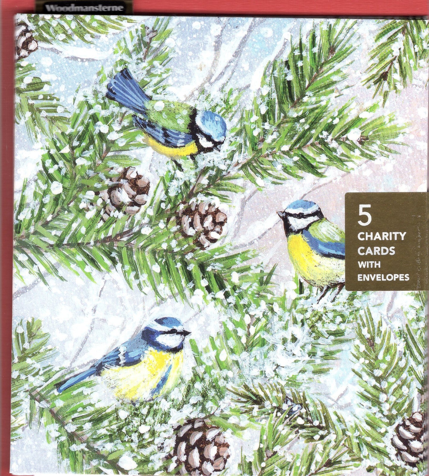 Pack Of 5 Winter Wishes Blue Tits Trio Charity Christmas Cards