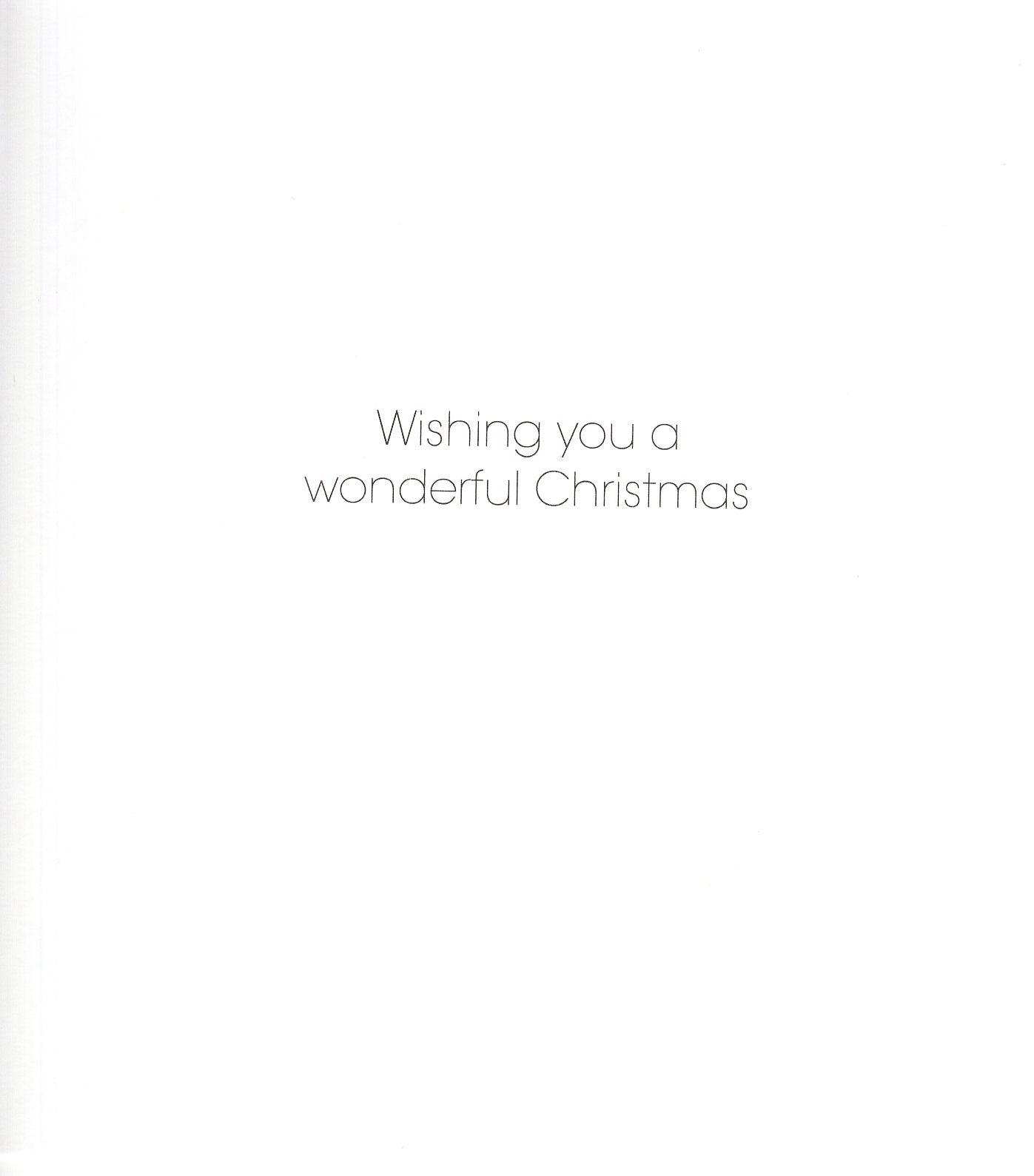 Pack Of 5 Winter Wishes Blue Tits Trio Charity Christmas Cards