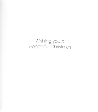 Pack Of 5 Winter Wishes Blue Tits Trio Charity Christmas Cards