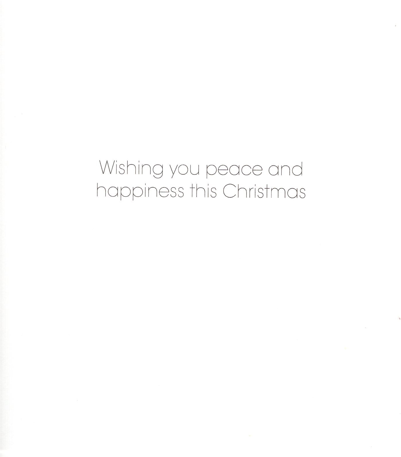 Pack Of 5 Bethlehem Starlight Magic! Charity Christmas Cards