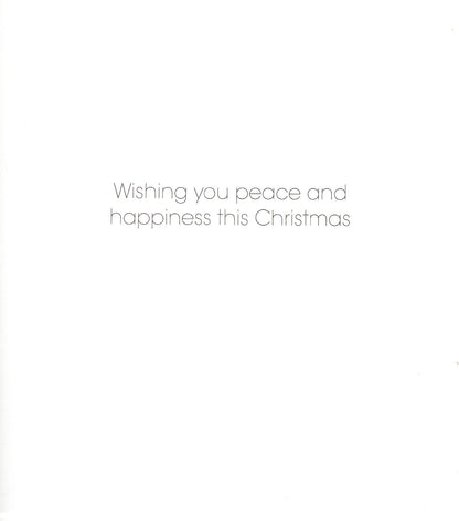 Pack Of 5 Bethlehem Starlight Magic! Charity Christmas Cards