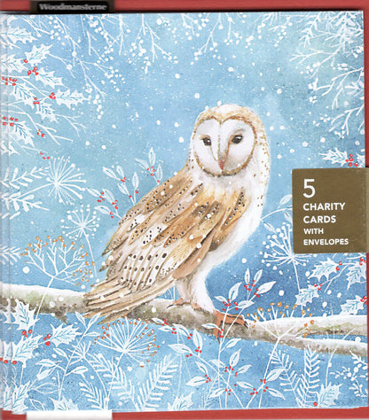Pack Of 5 Snowy Day Nighty-Night Owl Charity Christmas Cards