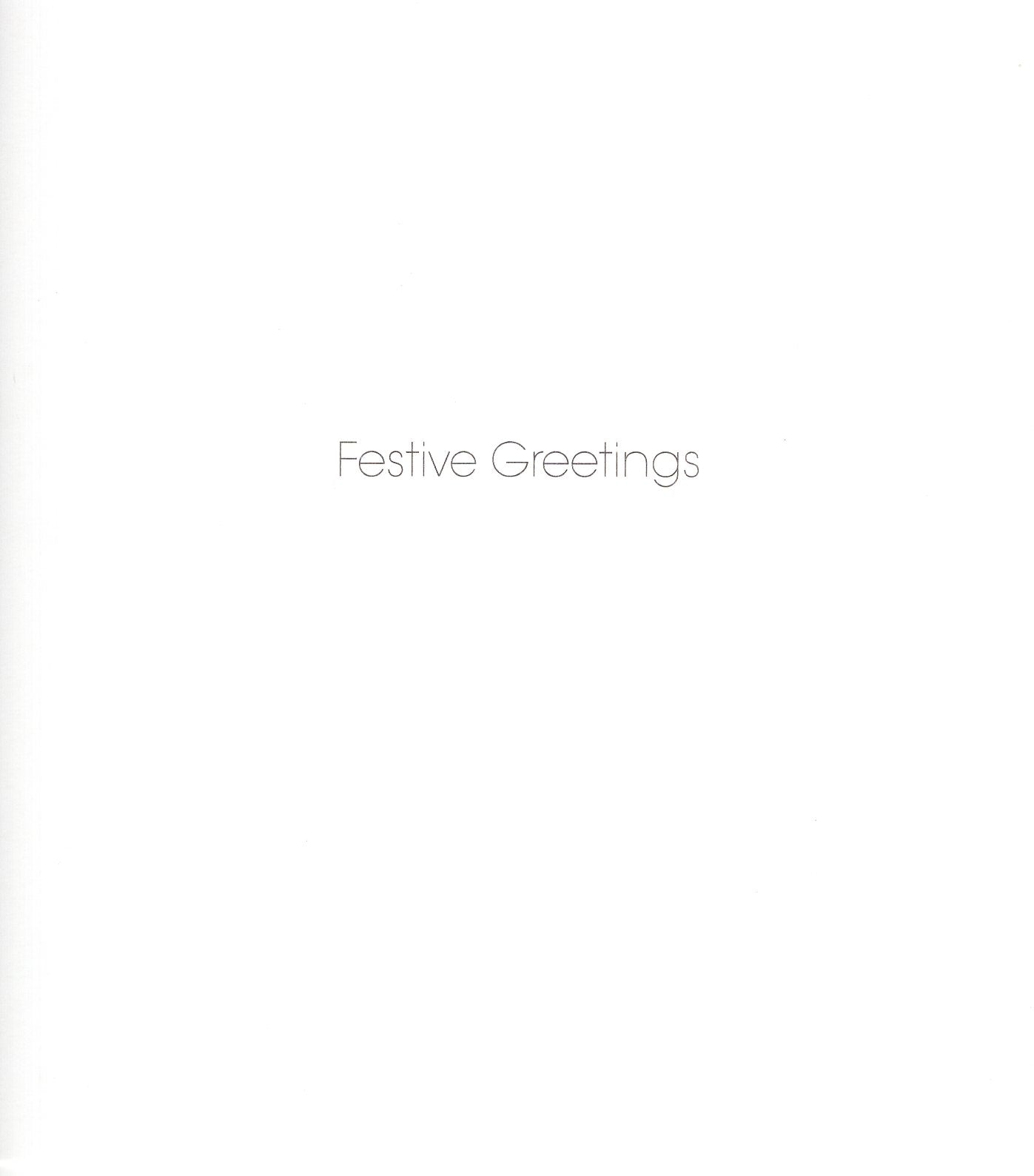 Pack Of 5 Snowy Day Nighty-Night Owl Charity Christmas Cards