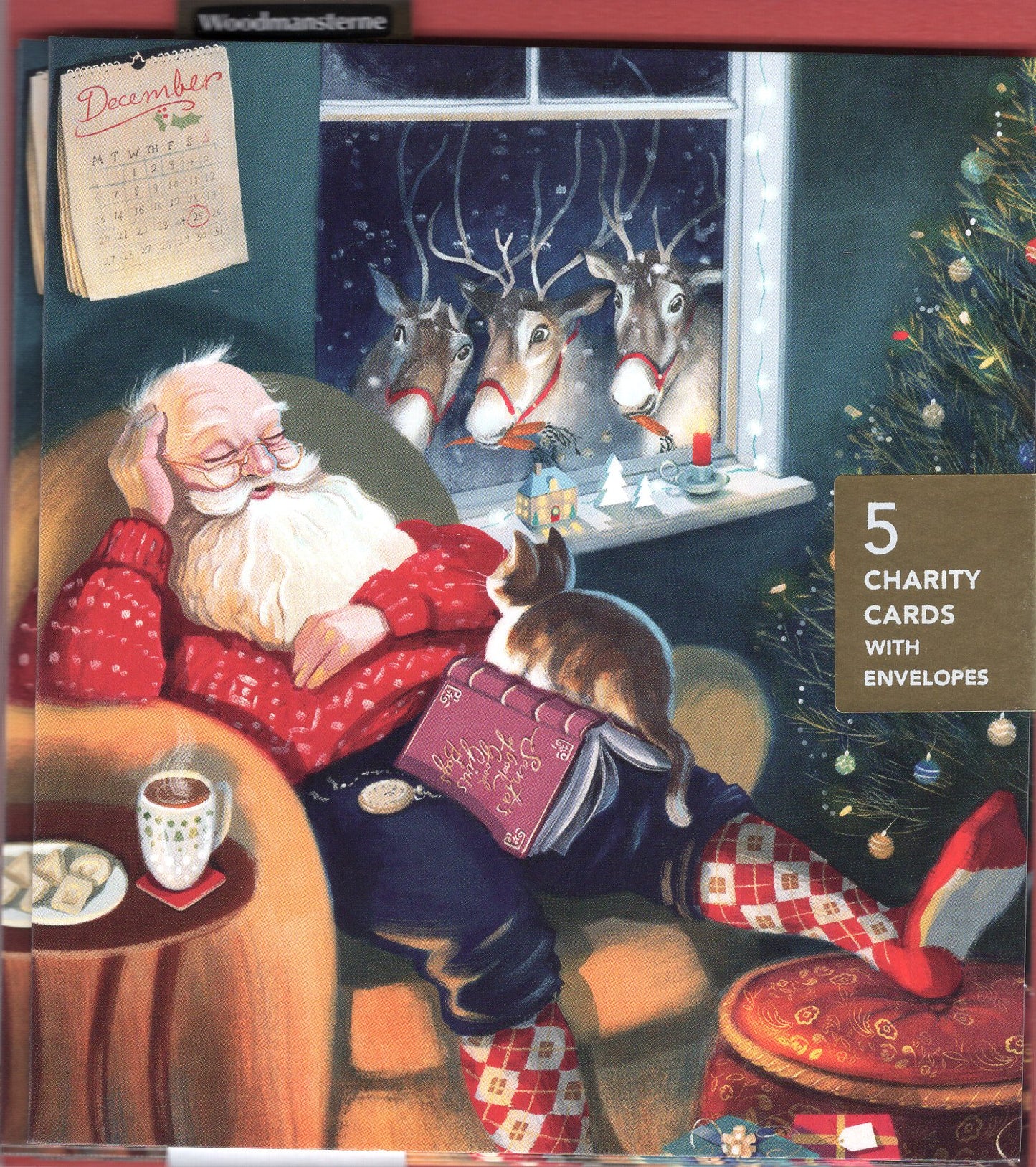 Pack Of 5 December Delights Santa's Snooze Squad! Charity Christmas Cards
