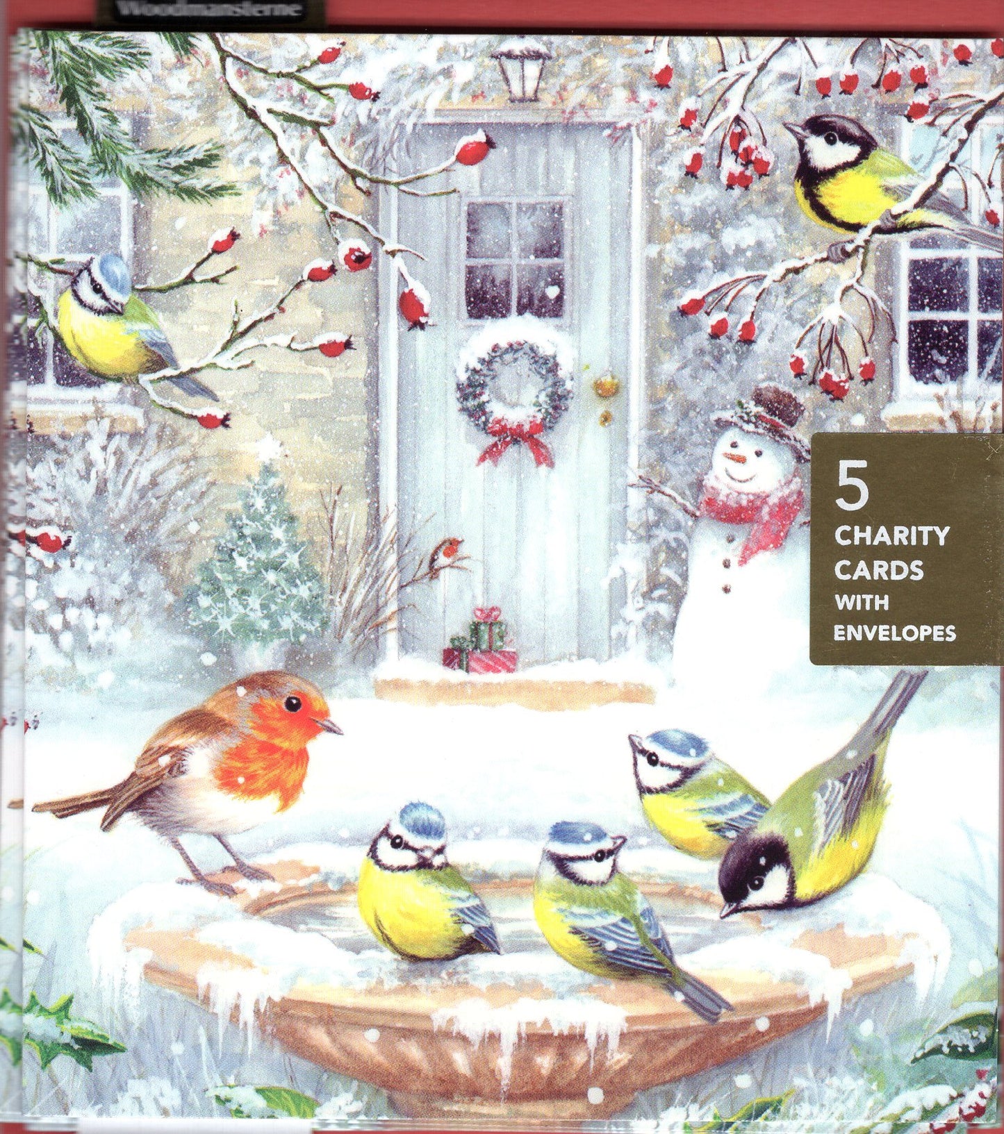 Pack Of 5 Delights Of December Snowman's Bird Party! Charity Christmas Cards