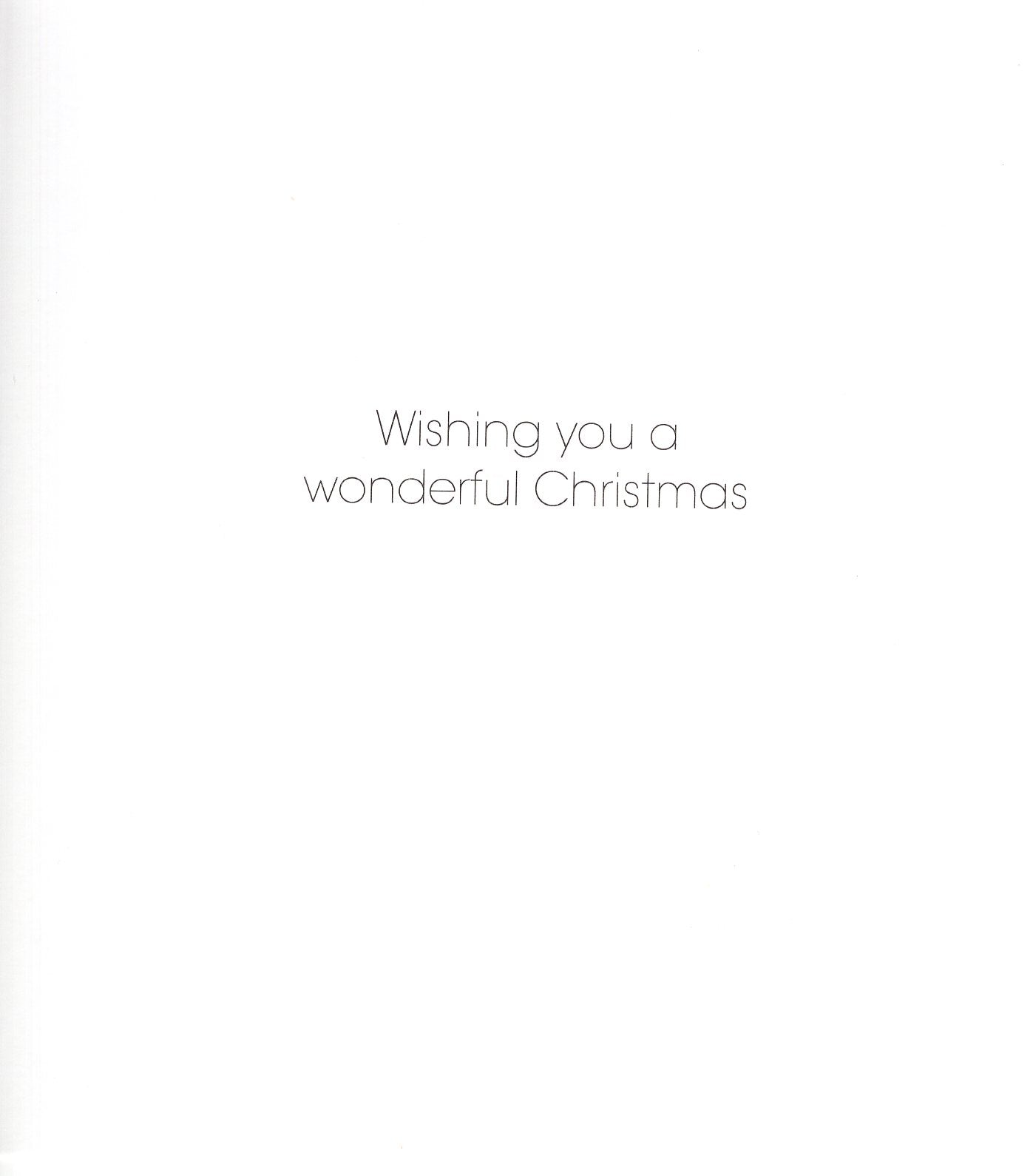 Pack Of 5 Delights Of December Snowman's Bird Party! Charity Christmas Cards