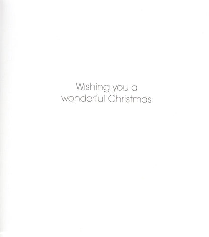Pack Of 5 Delights Of December Snowman's Bird Party! Charity Christmas Cards