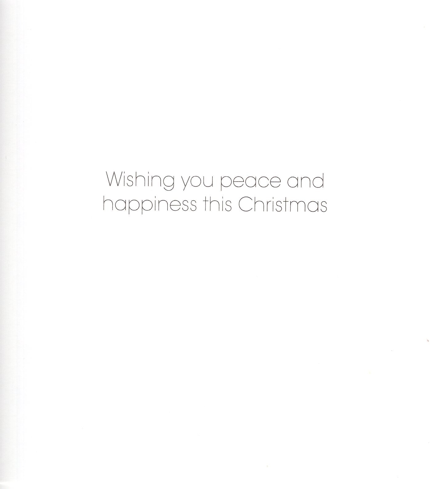 Pack Of 5 The Nativity Joyful Jesus Stained Glass Window Charity Christmas Cards