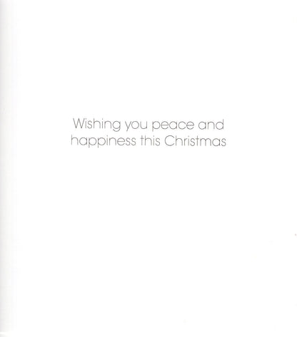 Pack Of 5 The Nativity Joyful Jesus Stained Glass Window Charity Christmas Cards