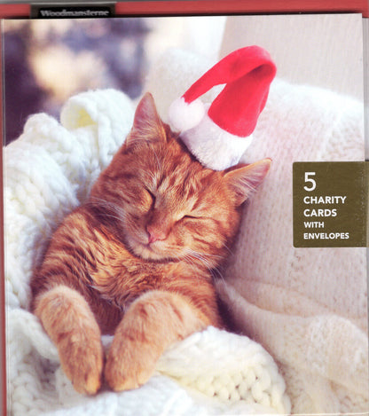 Pack Of 5 Cosy Christmas Purrfect Santa Cat Charity Christmas Cards