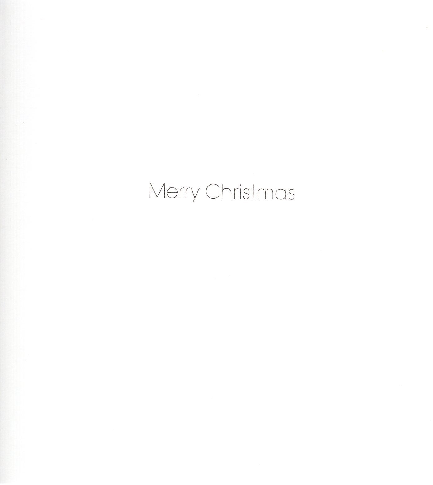 Pack Of 5 Cosy Christmas Purrfect Santa Cat Charity Christmas Cards